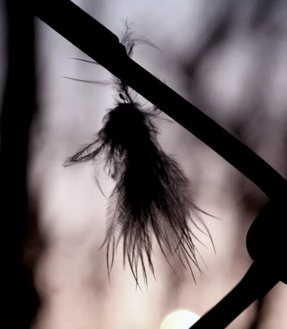 Atlas Fledgling — Creative Nonfiction